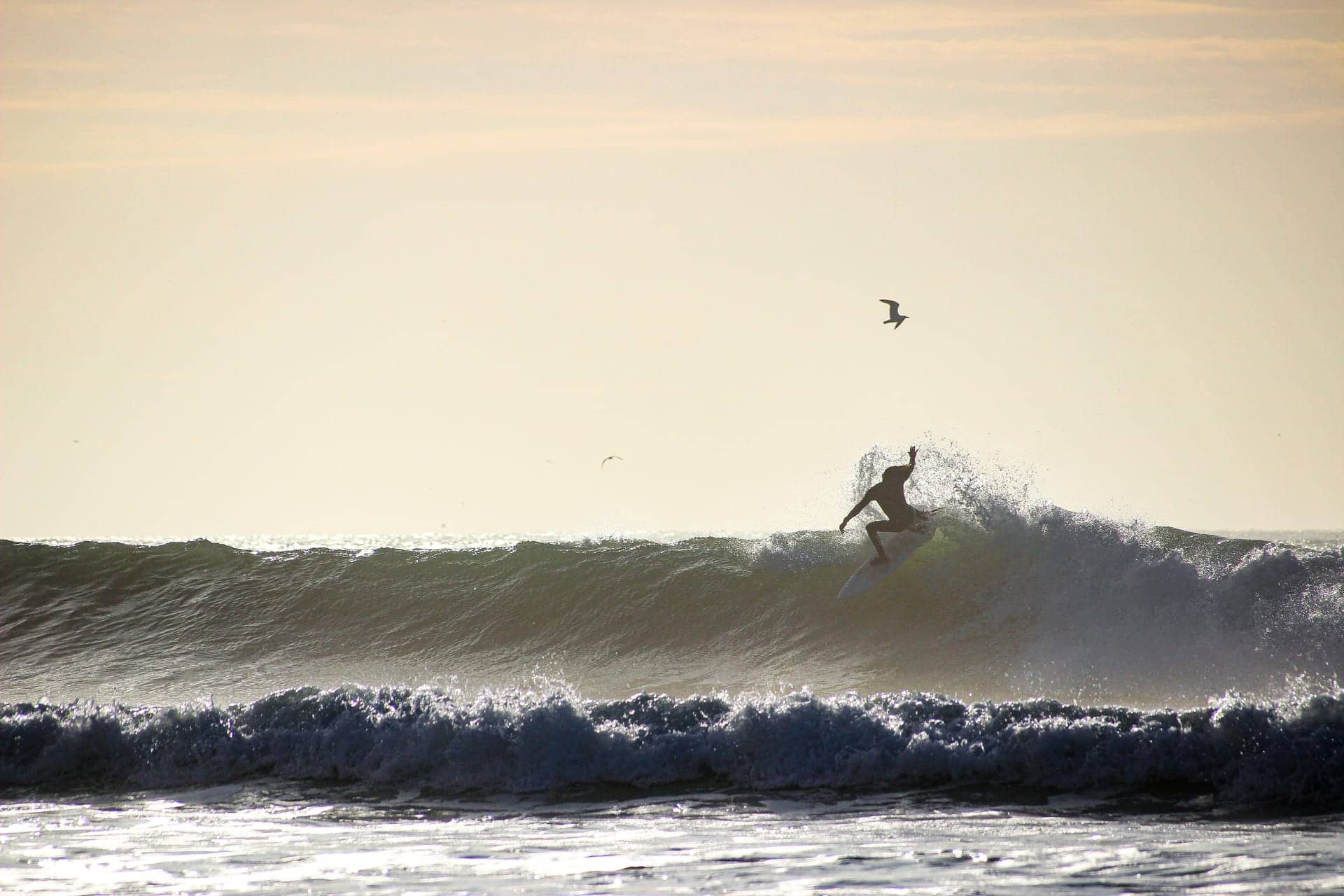 Surf Essaouira — Atlantic waves and beach lessons